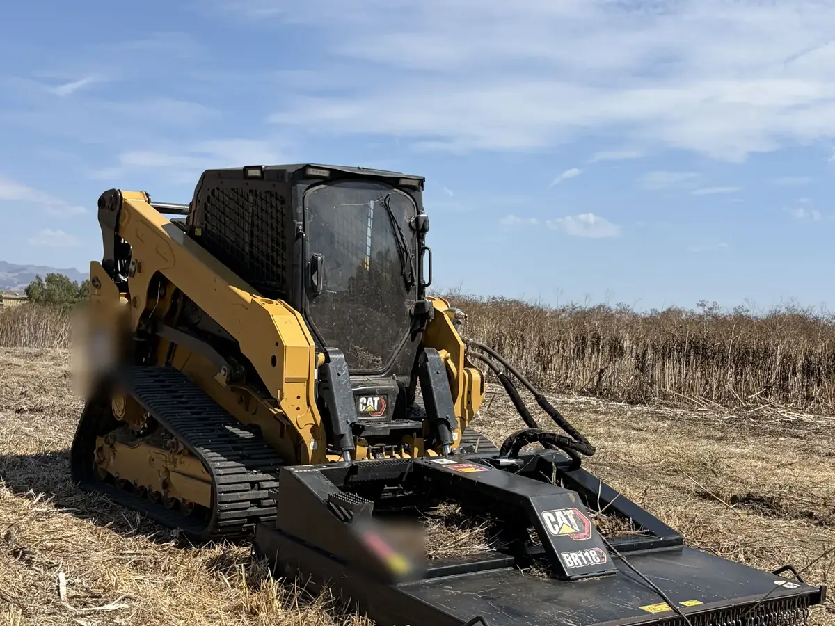 Compact track loader with a rotary brush mower in dry brush with a mowed strip behind it, brush mowing