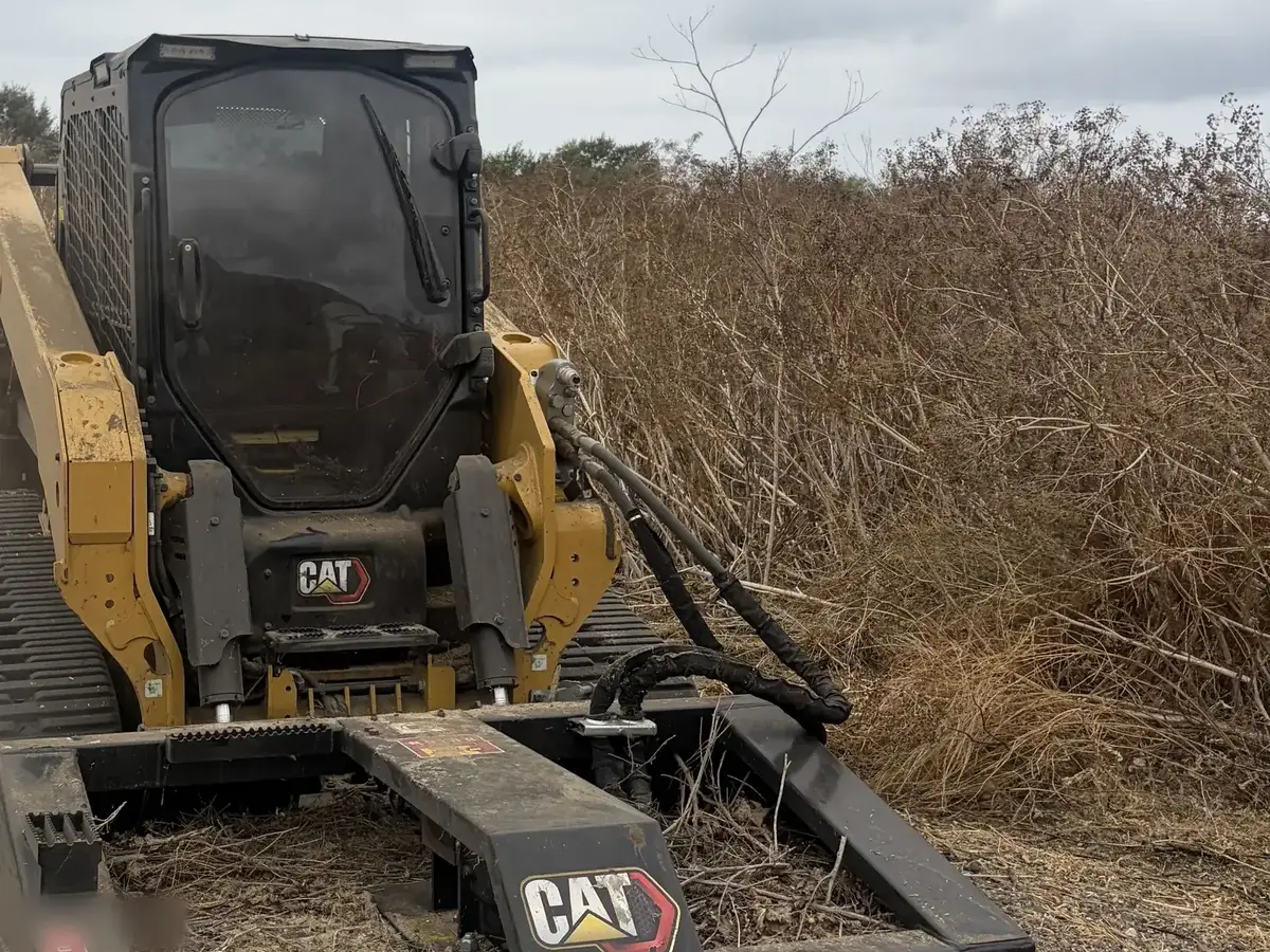 Rotary brush mower on a compact track loader in front of a stand of tall dry brush, brush mowing