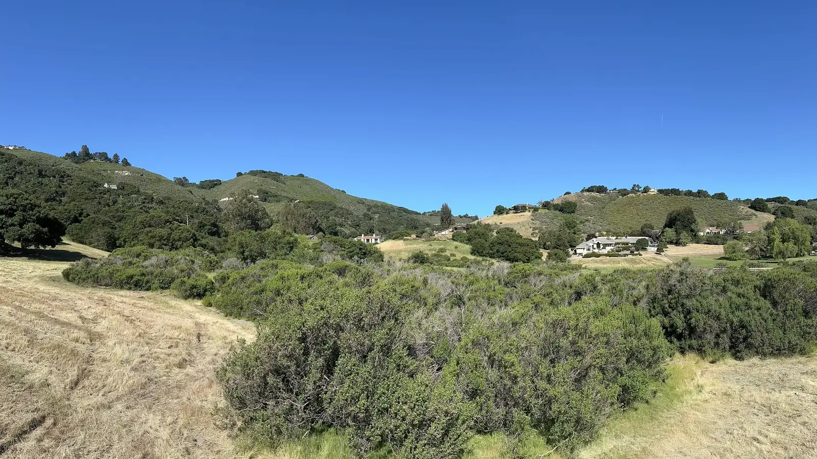 Defensible space clearing in Carmel Valley, CA