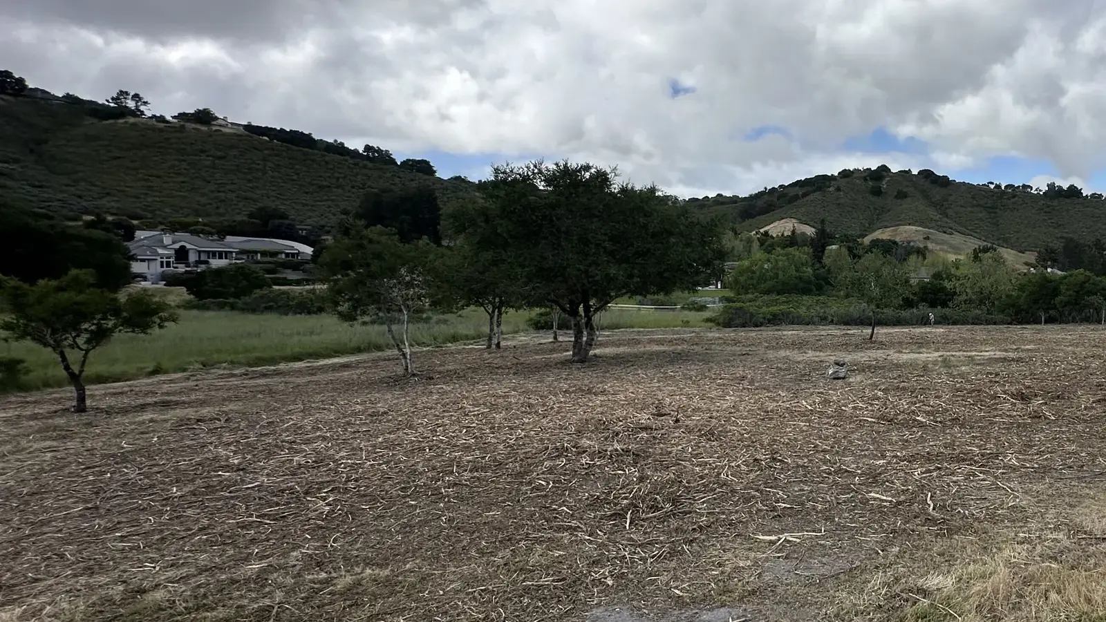 Defensible space clearing in Marina, CA