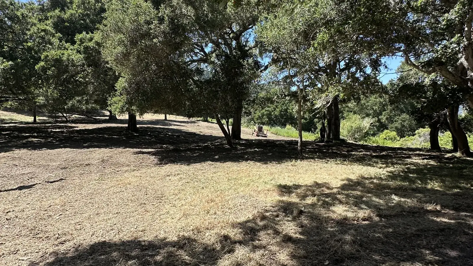 Defensible space clearing in Monterey, CA