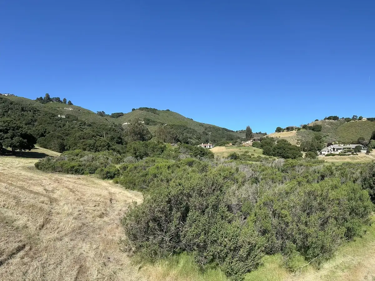 Grass mowed in wide strips around a stand of brush on a hillside above a valley, fire break mowing