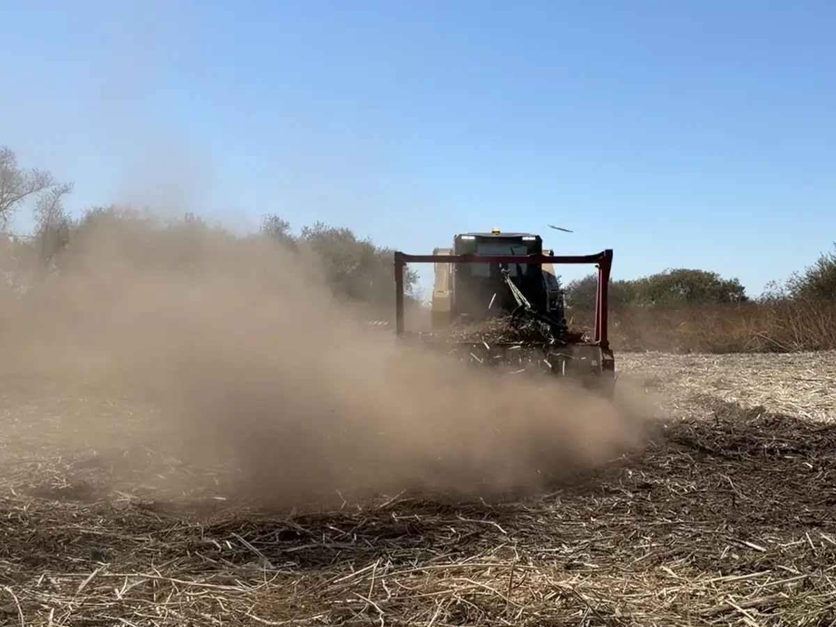 Compact track loader with a masticating head grinding dry brush in a cloud of dust, forestry mulching