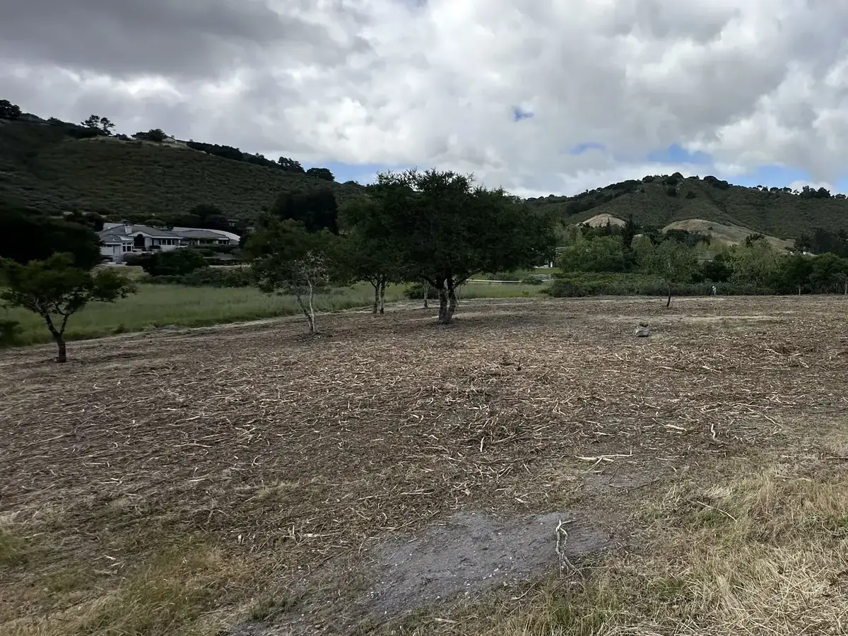 Open field of fresh mulch with small oaks left standing and green hills behind after forestry mulching