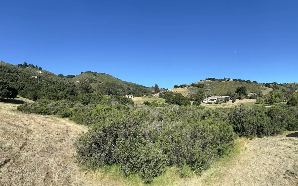 Hillside with the grass mowed around a stand of brush above a valley of oaks and homes, land clearing