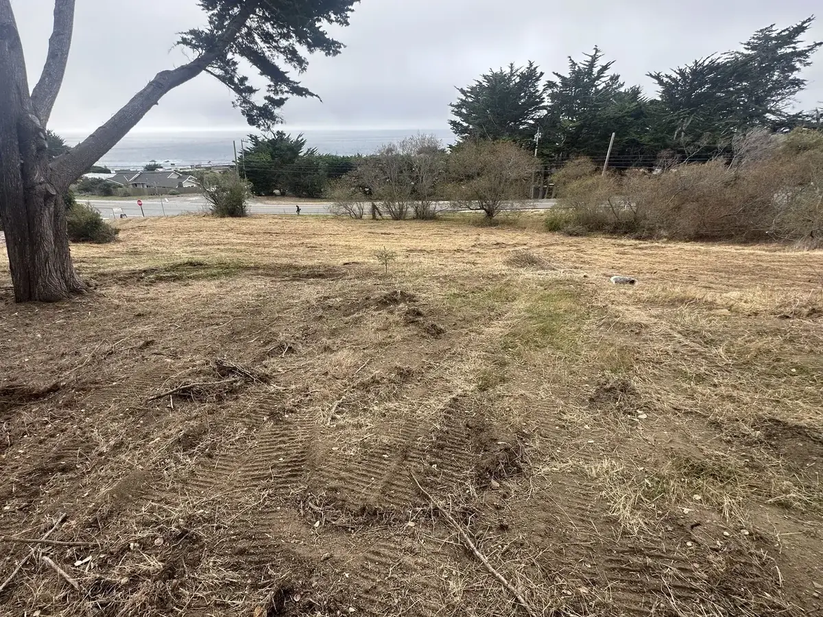 Cleared lot with track marks in the cut grass, a cypress kept and the ocean in the distance, lot clearing