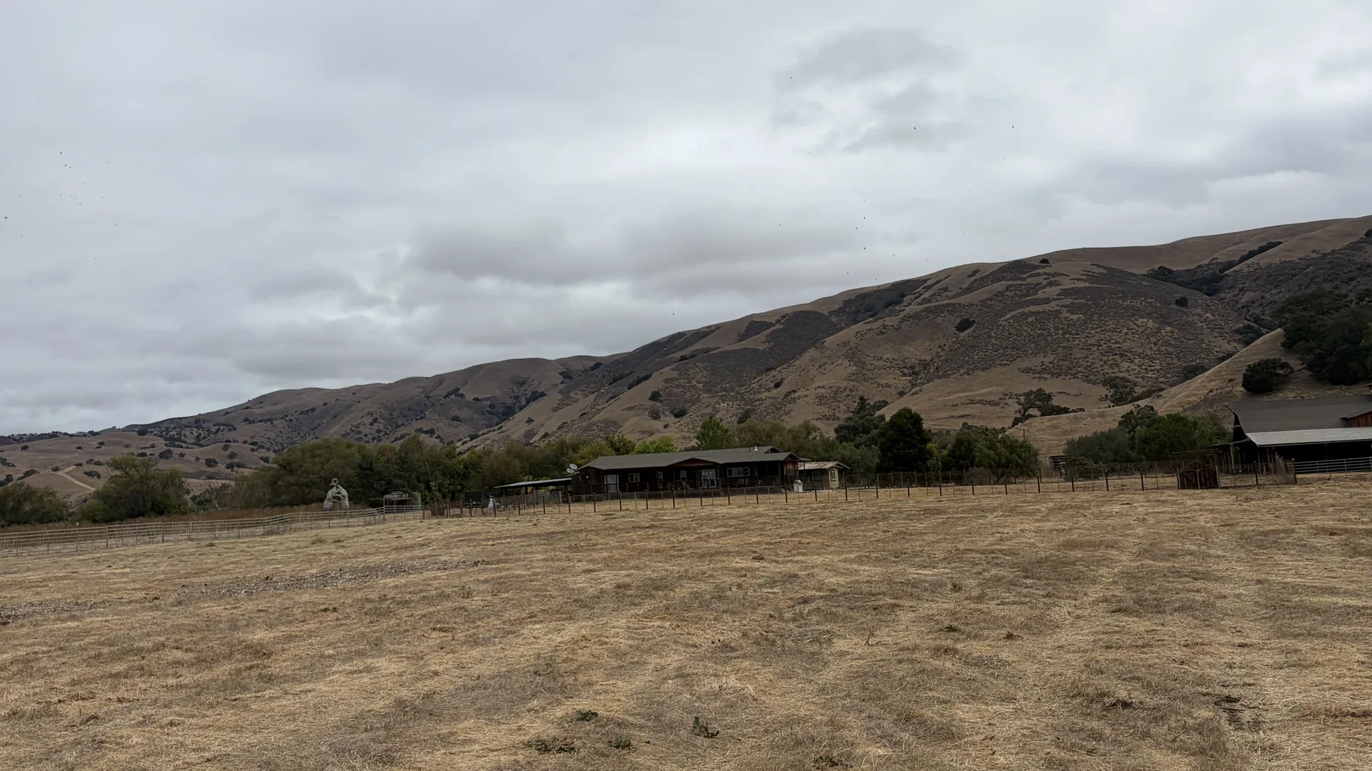 Pasture mowed short below dry grass hills and ranch buildings, brush mowing on open ranch land